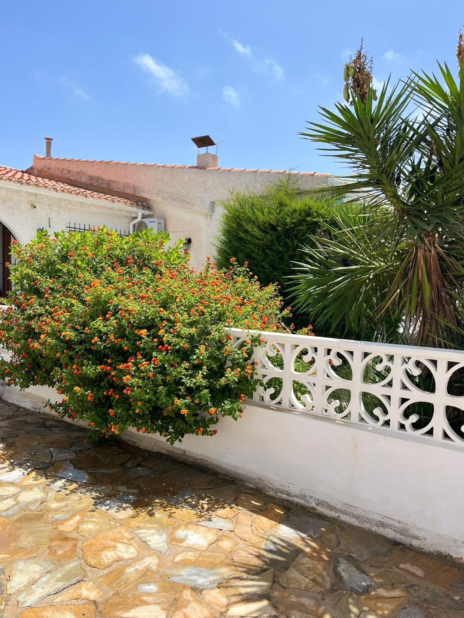 Holiday Apartments Torrevieja Bagian luar foto